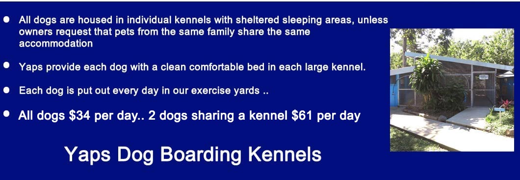 Boarding Dogs